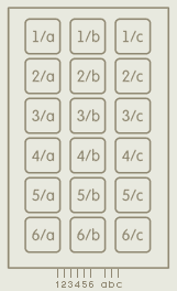  16